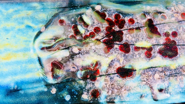 Salmon Redd I Fused Glass Wall Art