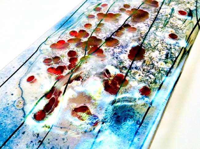 Salmon Redd I Fused Glass Wall Art